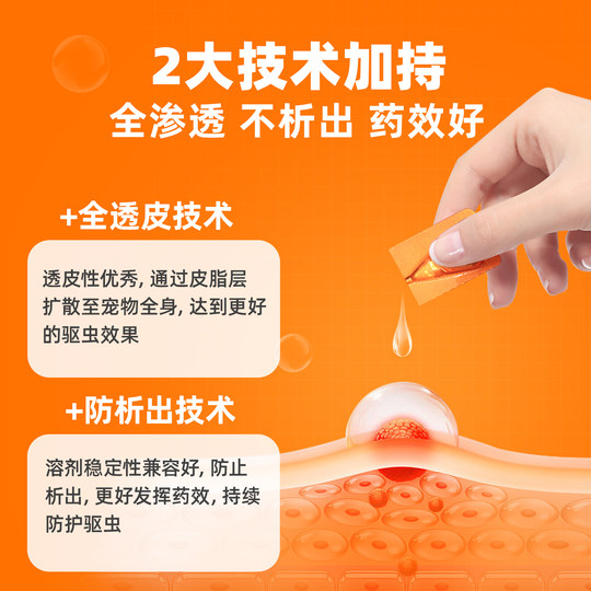 Pointe-Medikament zur inneren und äußeren Entwurmung von Katzen und Hunden