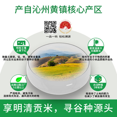 山西原产地正宗农家沁州黄小米2.5千克实惠装小米 - 图0