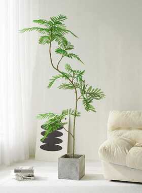 新款蓝花楹仿真绿植落地盆栽 仿生植物摆件室内客厅沙发旁装饰树