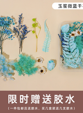 干花diy材料包永生花天然真花