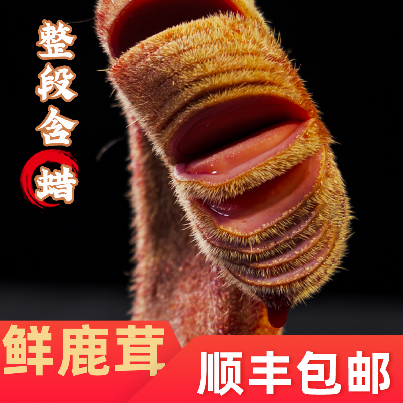 茸头整枝蜡片100克新鲜带血鲜鹿茸 参老伯鹿茸枝