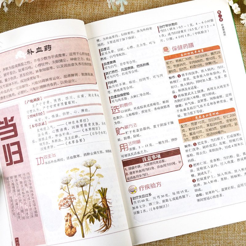 6册中医自学百日通+诊断全书+中草药鉴别+中医养生书籍大全中医入门书籍医药大全中医诊断学中药书基础理论自学入门基础知识倪海厦