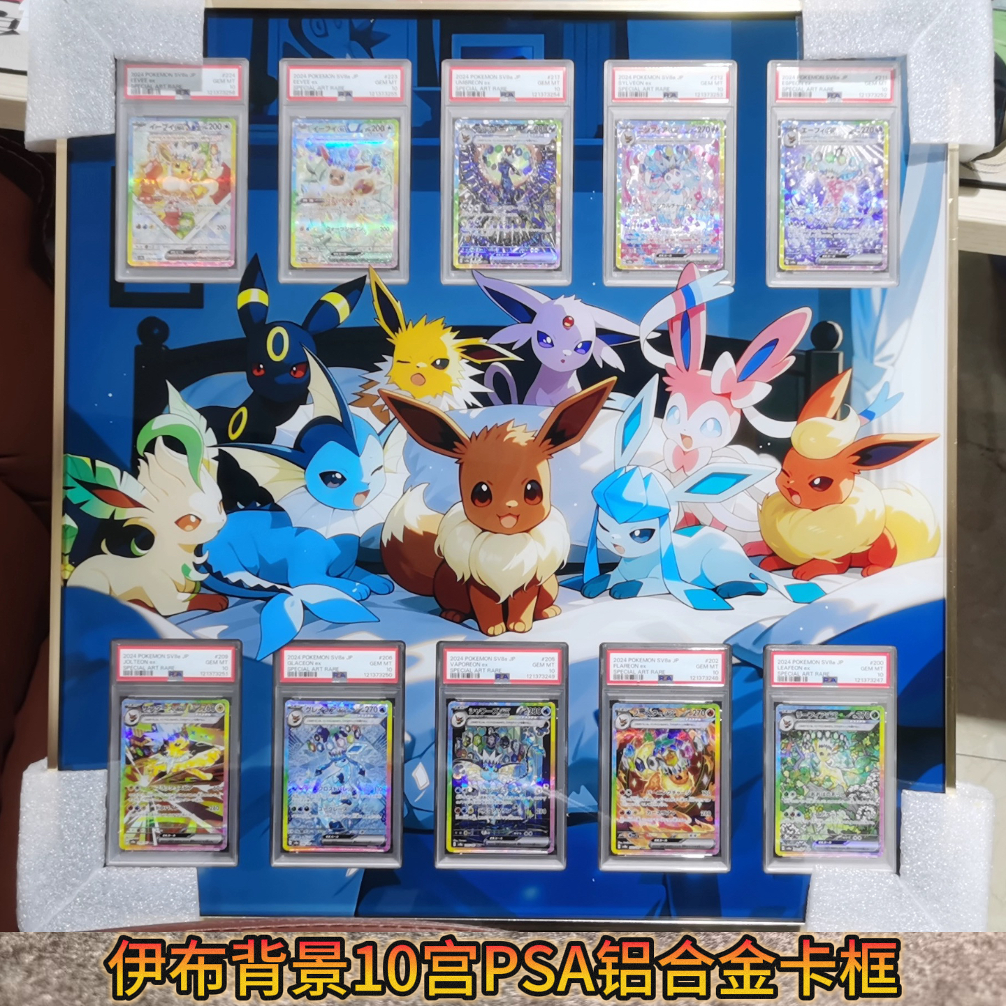 宝可梦伊布PSA铝合金卡框展示架收纳框带背景PTCG收纳金属卡框 - 图0