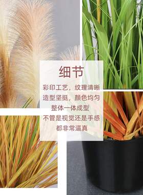 仿真植物假芦苇草盆栽花客厅阳台装饰绿植落地狗尾草北欧盆景芦苇
