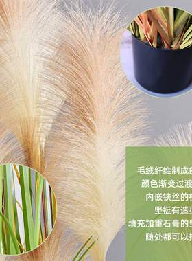 北欧仿真植物芦苇草绿盆栽 客厅装饰摆件狗尾草植物假草盆景芦苇