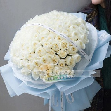 鲜花同城速递贵阳洛阳玫瑰花康乃馨混搭女长辈朋友生日送花上门