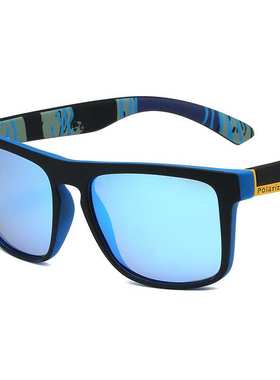 D731偏光塑料骑行运动墨镜防紫外线高级感驾驶镜P21男士潮