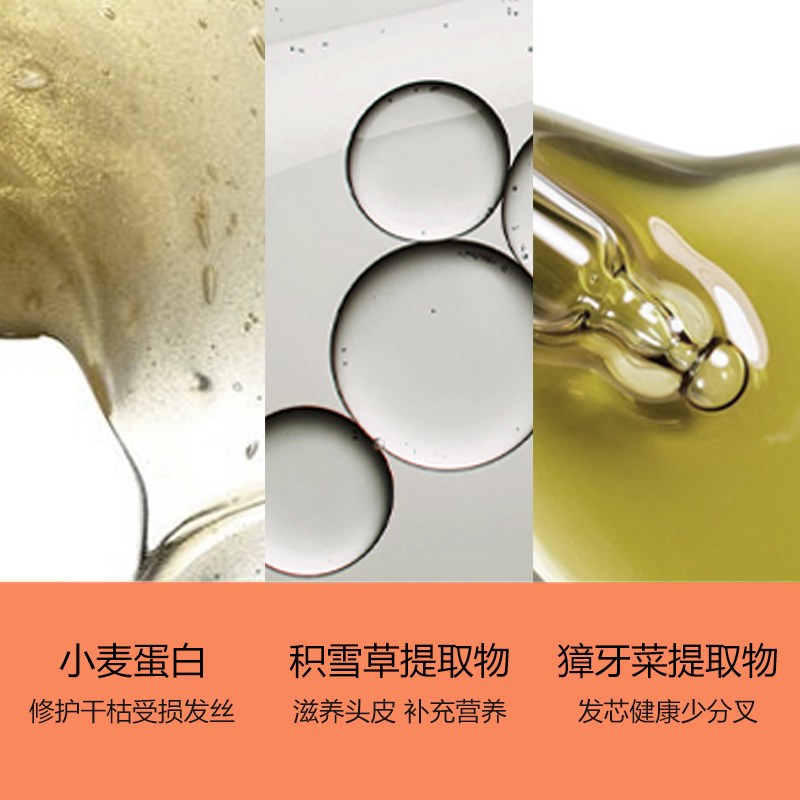 pote柏缇小麦蛋白修复蓬松洗发露 柏缇洗护洗发水