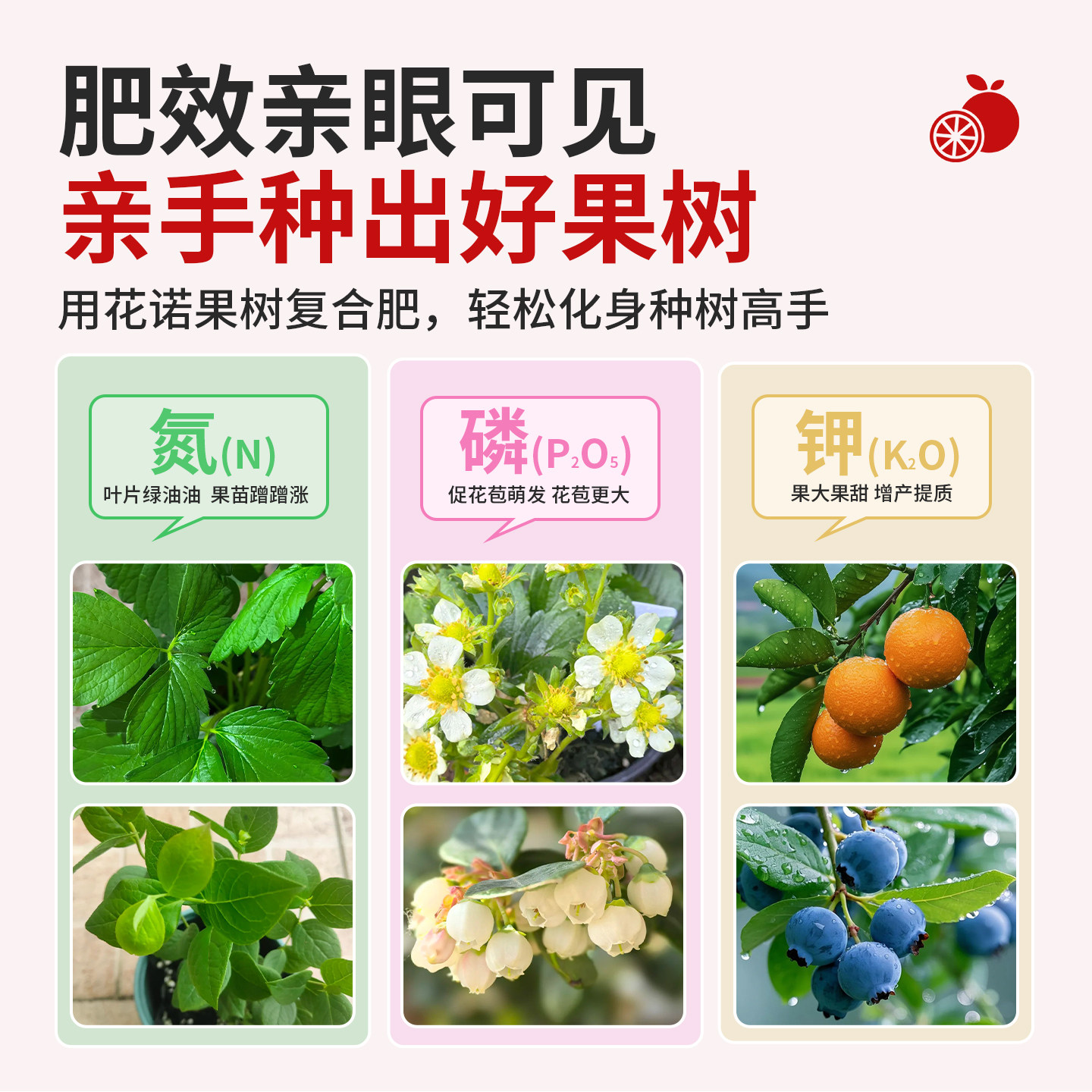 果树专用复合肥农用种菜通用型肥料植物花肥料三元氮磷钾有机肥料,淘宝优惠券,粉丝福利购,淘宝优惠卷