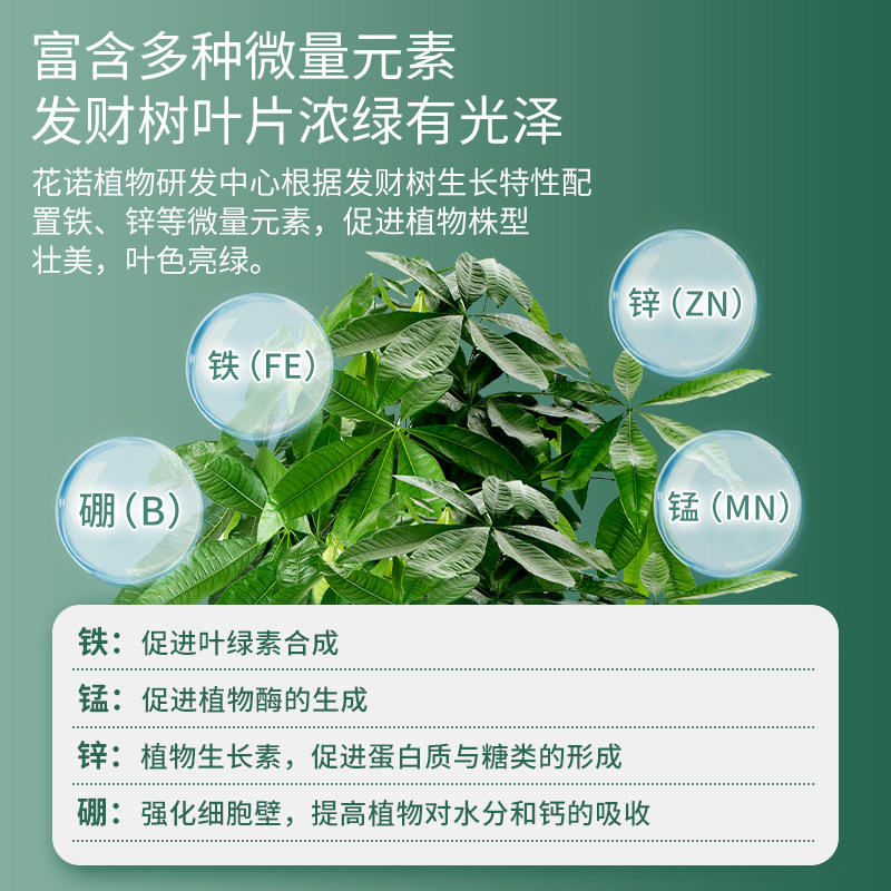 发财树肥料专用肥营养液植物叶子发黄烂根怎么办金钱树通用型花肥,淘宝优惠券,粉丝福利购,淘宝优惠卷
