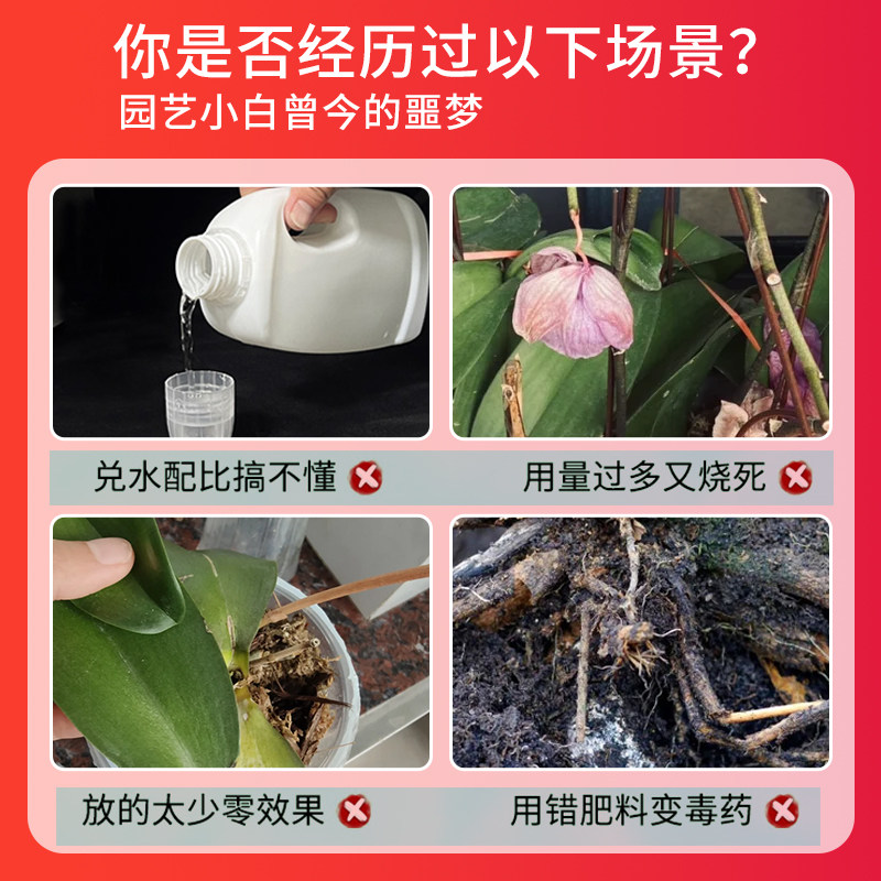 免稀释兰花营养液专用肥治黄叶黑斑烂根蝴蝶兰科植物开花有机肥料,淘宝优惠券,粉丝福利购,淘宝优惠卷