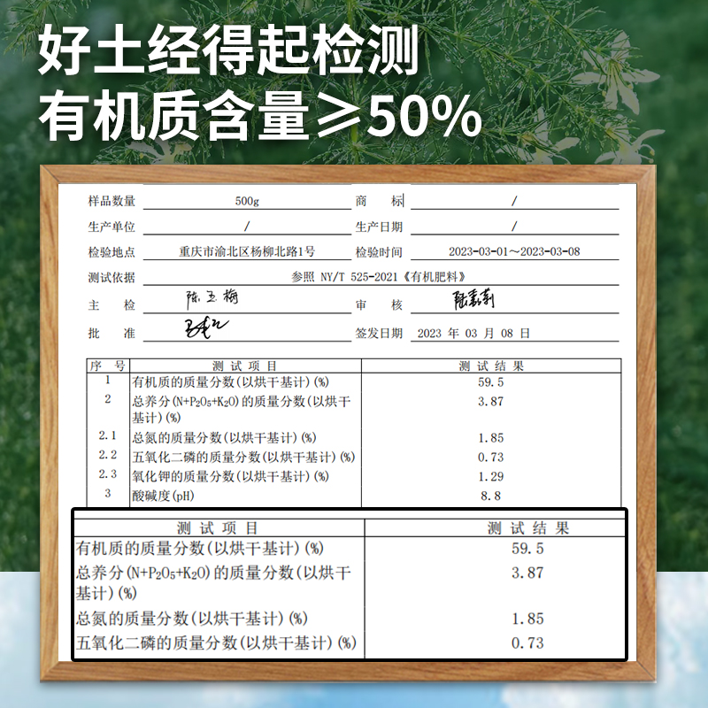 种文竹专用土花土营养土云竹培养土壤栽培土泥土种植土专用肥料 - 图3