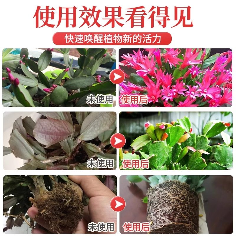 蟹爪兰专用营养液免稀释开花专用肥花肥蟹爪莲肥料喷施叶面肥盆栽,淘宝优惠券,粉丝福利购,淘宝优惠卷