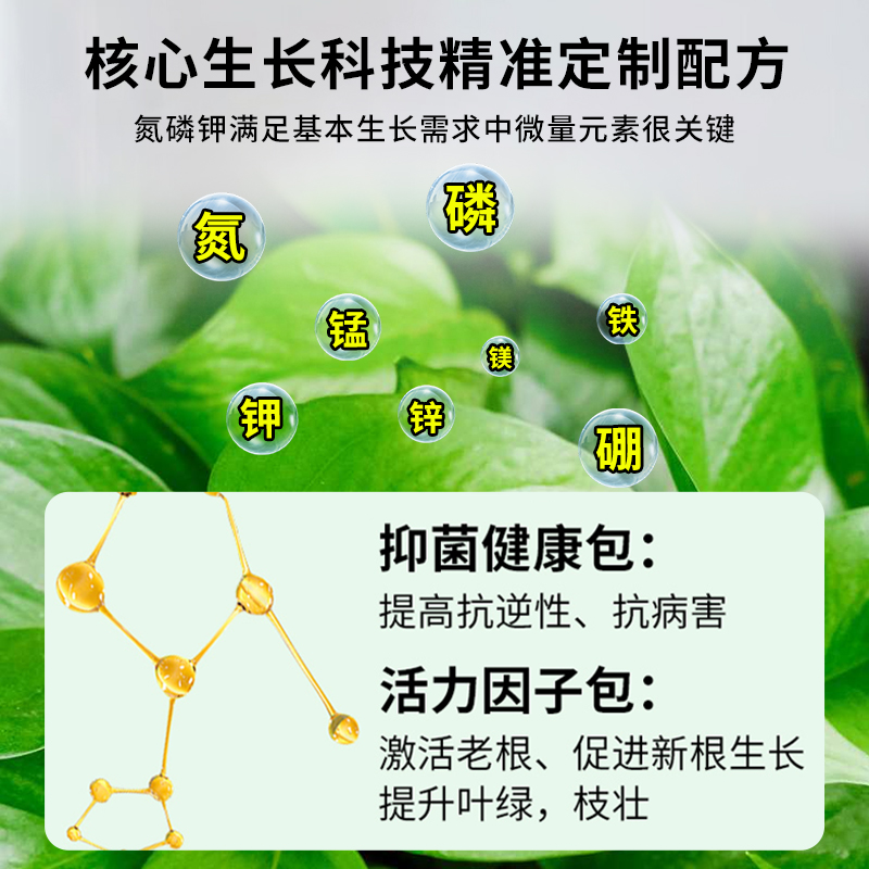 绿萝专用营养液免稀释绿萝专用肥料叶子发黄家用花卉盆栽液体肥-图2