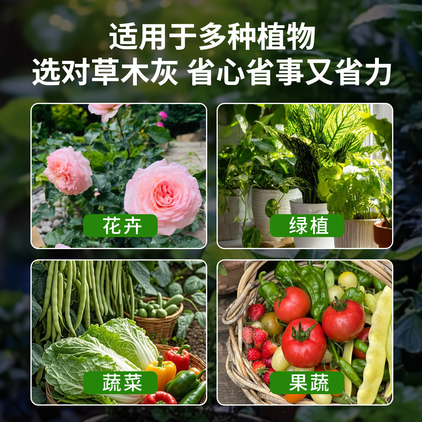 草木灰种菜用植物通用稻壳炭土壤有机钾肥花肥底料花卉果蔬通用型,淘宝优惠券,粉丝福利购,淘宝优惠卷