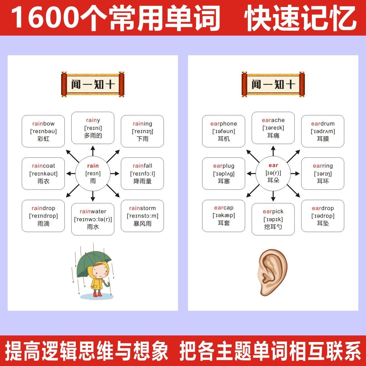 英语复合词大全 一次学会三个单词 词根词缀速记1600单词A5 - 图0