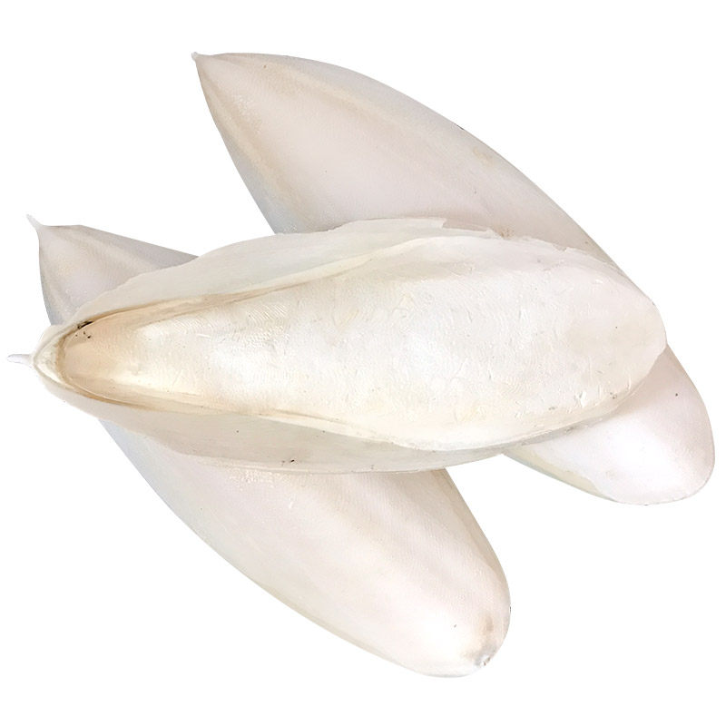 天然墨鱼骨鹦鹉专用宠物鸟用整个海螵蛸虎皮玄风八哥鸽子磨嘴散装,淘宝优惠券,粉丝福利购,淘宝优惠卷