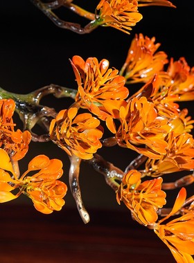 公司开业发财树摆件铜工艺品金松