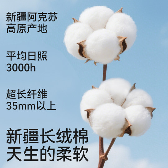 Class A pure cotton first stage girls' development underwear