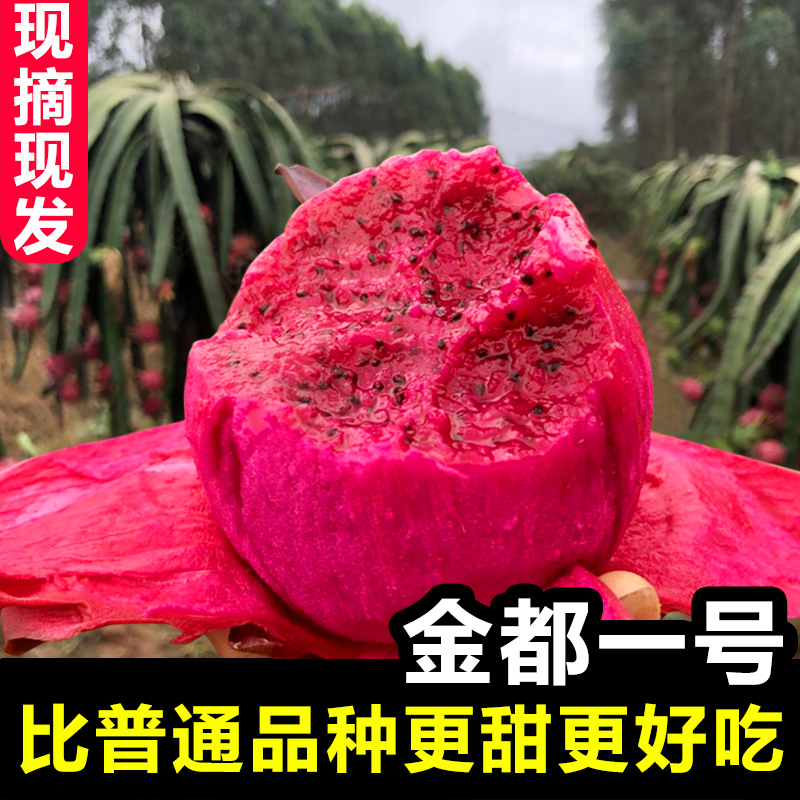 半亩香旗舰店金都一号蜜宝红心火龙果大果当季水果新鲜红肉5斤整箱包邮海南102