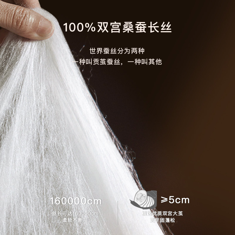 桐乡100%桑蚕丝被双宫茧官方正品被芯春秋冬被夏凉被手工定做被子,淘宝优惠券,粉丝福利购,淘宝优惠卷