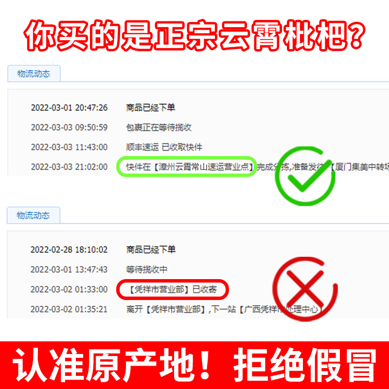 顺丰 正宗云霄枇杷新鲜5斤特大果当季整箱现摘批把水果甜琵琶包邮 - 图1