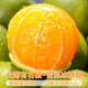 Yunnan rock sugar orange spot gift box 20Jin Jin is equal to 0.5kg extra large fruit