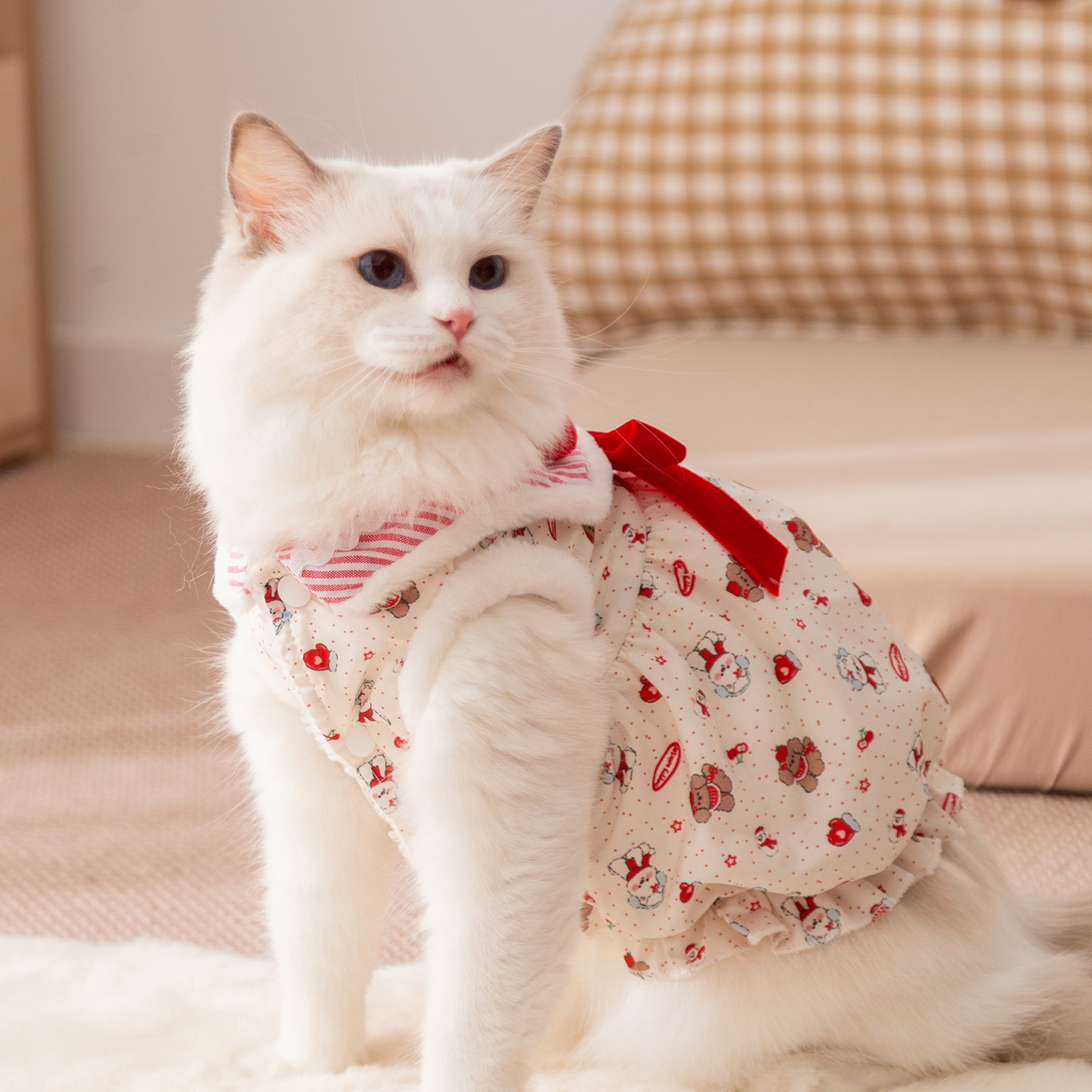 小猫咪衣服加厚保暖冬天布偶猫德文猫无毛猫宠物猫连衣裙冬季棉衣,淘宝优惠券,粉丝福利购,淘宝优惠卷