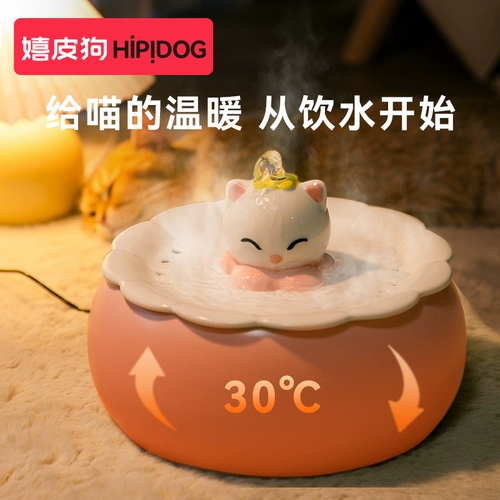 Постоянная температура кошачья температура питьевая вода.