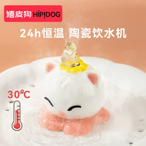 Постоянная температура кошачья температура питьевая вода.