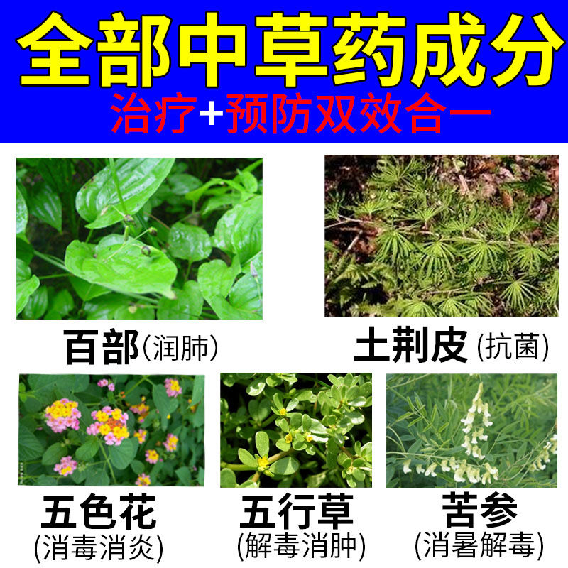 【乌龟白眼病专用】乌龟眼睛睁不开眼睛发炎红肿巴西龟白眼清护理