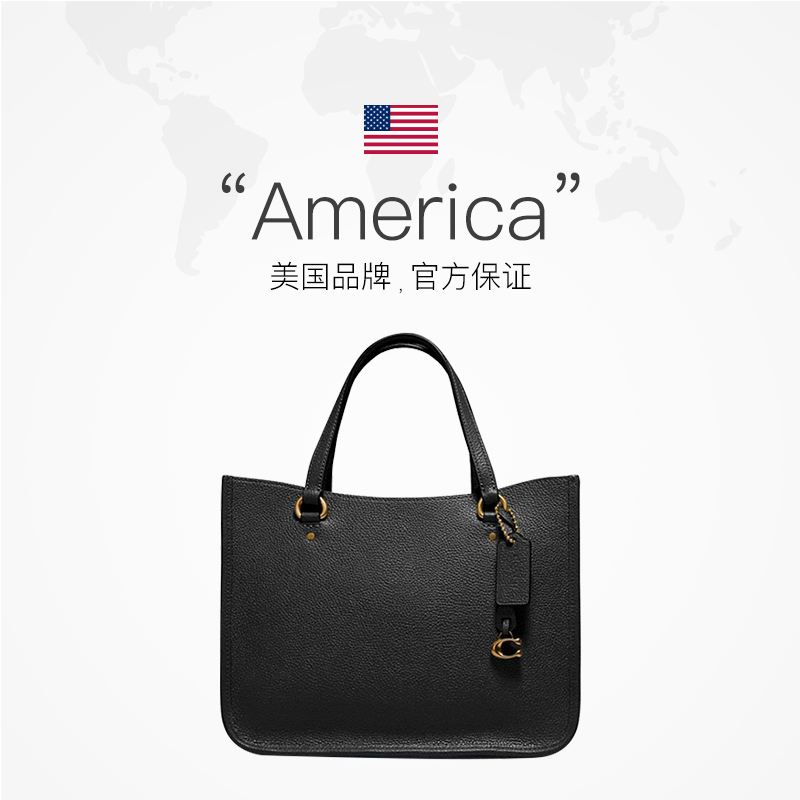 Coach 蔻驰 TYLER 28号 CARRYALL中号单肩手提手袋