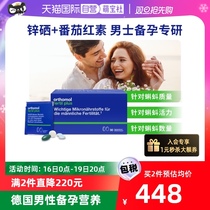 (Self-Employed) German Osuitable Bao Male Preparation Folate Lycopene Red Vegetarian Men Vitality Zinc Selenium sperm Nutrition