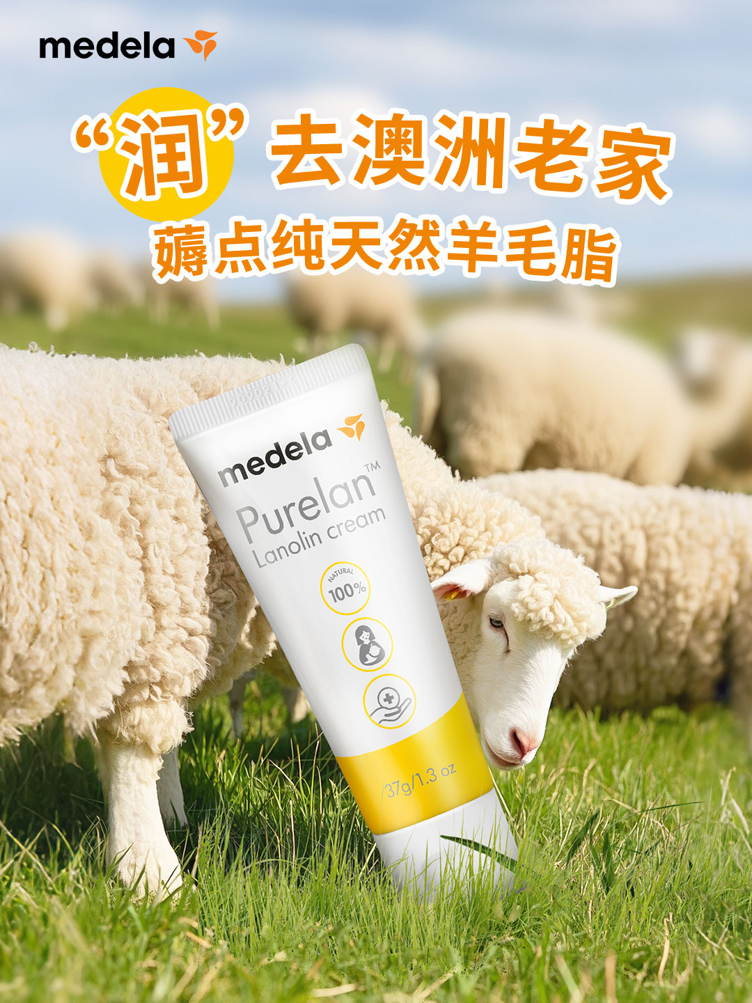 【自营】美德乐medela 乳头膏哺乳孕期防皲裂100%纯羊脂膏37g乳膏