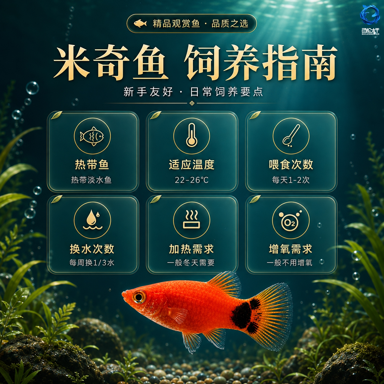 图4