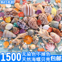 Fish Tank Natural Shells Sea Snail Sea Star Creative View Coral Rolls Bay Fish Aquatic Box Sustena Crab Decorations Package