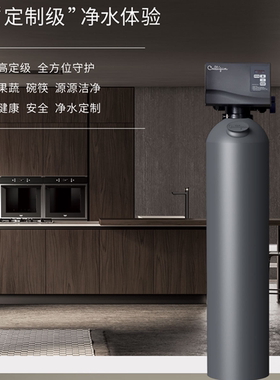 康丽根大师系列中央净水器全屋软水