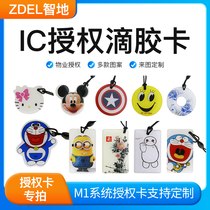 Zhidi authorized card special shooting IC drip glue system newly issued card keychain mini card access control special-shaped card induction card