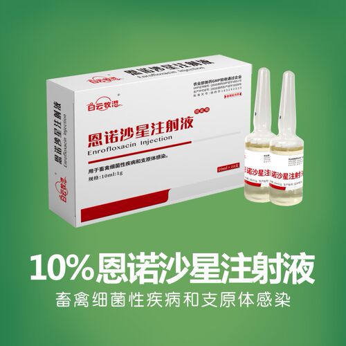 白云牧港  恩诺沙星注射液猪牛羊畜禽细菌性疾病支原体感染 - 图0