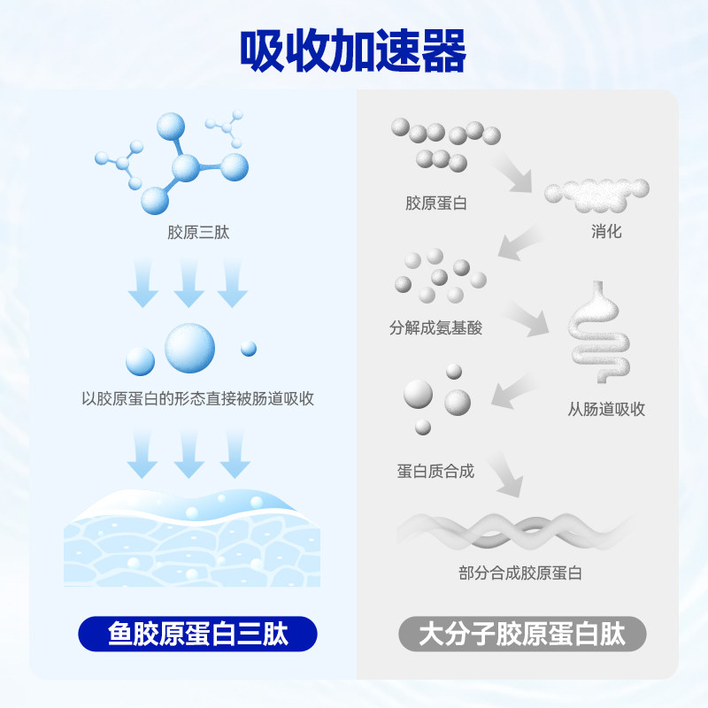 wonderlab胶原蛋白肽态饮肽口服液 wonderlab胶原蛋白