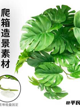 雨林造景仿真条纹心型叶子藤条