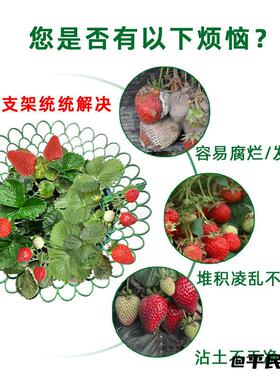 盆栽种植架栽培架托盘架阳台种菜