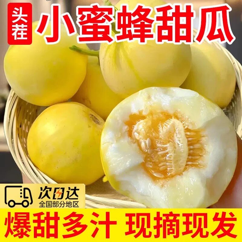 山东头茬甜瓜小蜜蜂蜜罐甜瓜星甜20新鲜孕妇水果当季小香瓜甜蜜瓜