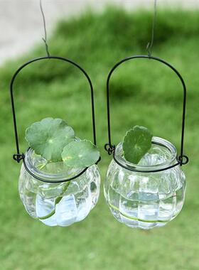 透明玻璃水培花瓶 简约风客厅装饰花器 绿植玻璃容器