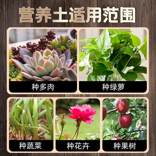 Пищевые местные растительные сады посадка овощные цветы и растения органические овощные овощные