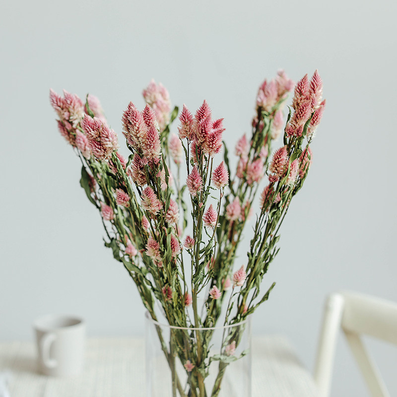 天然多头凤尾粉色干花diy材料插花搭配家居装饰 云南风干花束真花