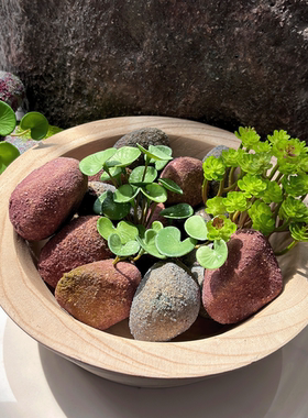 仿真泡沫假石头盆景套餐微景观造景橱窗拍摄道具摄影道具植物装饰