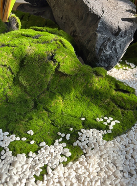 仿真绿植造景铺面白色砾石雨花石