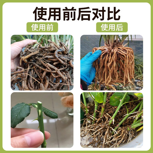 珍珠岩无尘大颗粒蛭石扦插养花用多肉育苗兰花专用植料营养土园艺 - 图3
