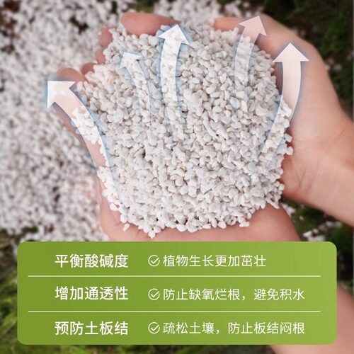 珍珠岩无尘大颗粒蛭石扦插养花用多肉育苗兰花专用植料营养土园艺 - 图0